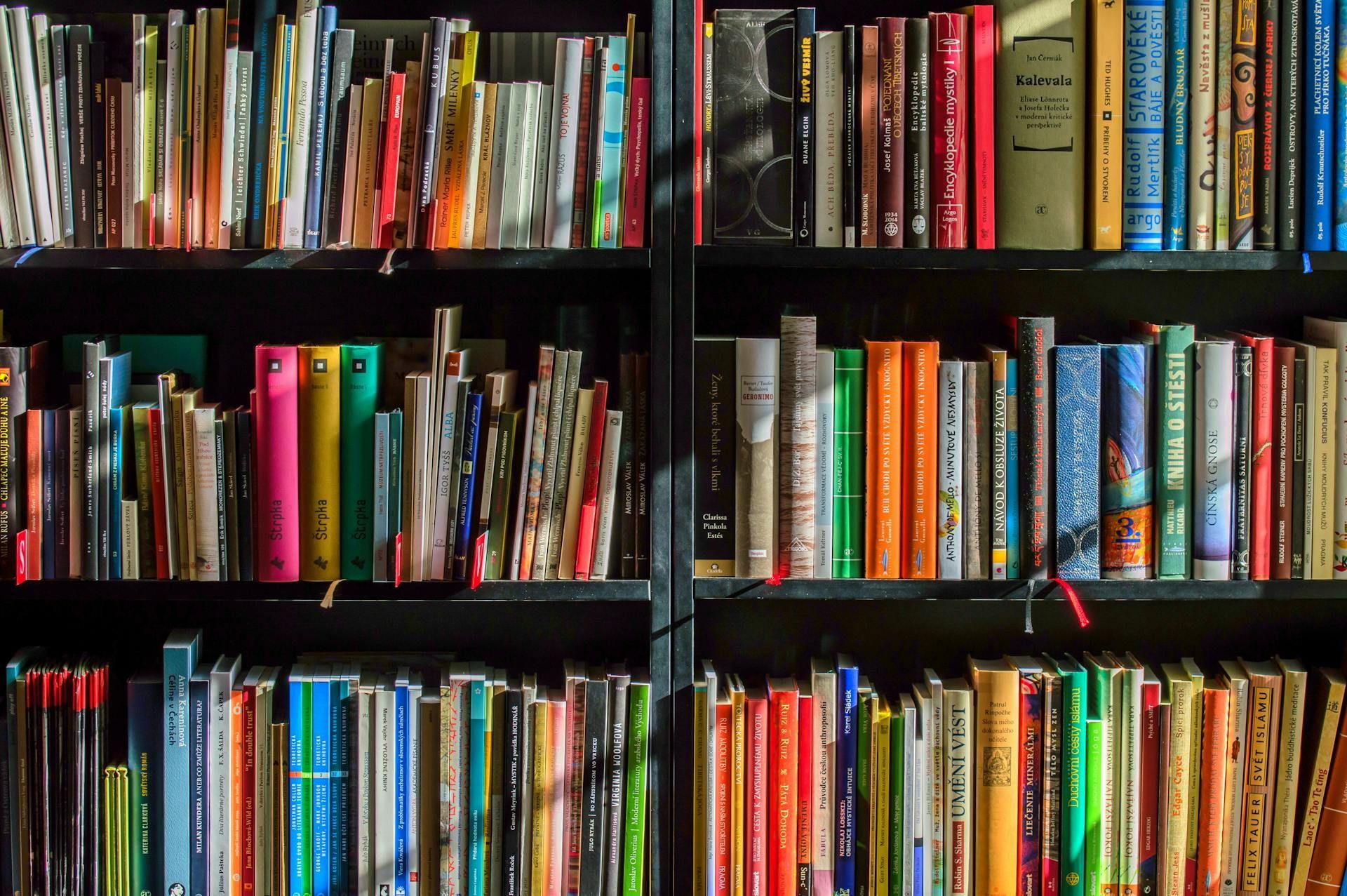 How to Take Care of Books? A Few Rules for Proper Storage